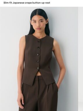 Aritzia Brown Slim-Fit Japanese Crepe Button-Up Vest Tank